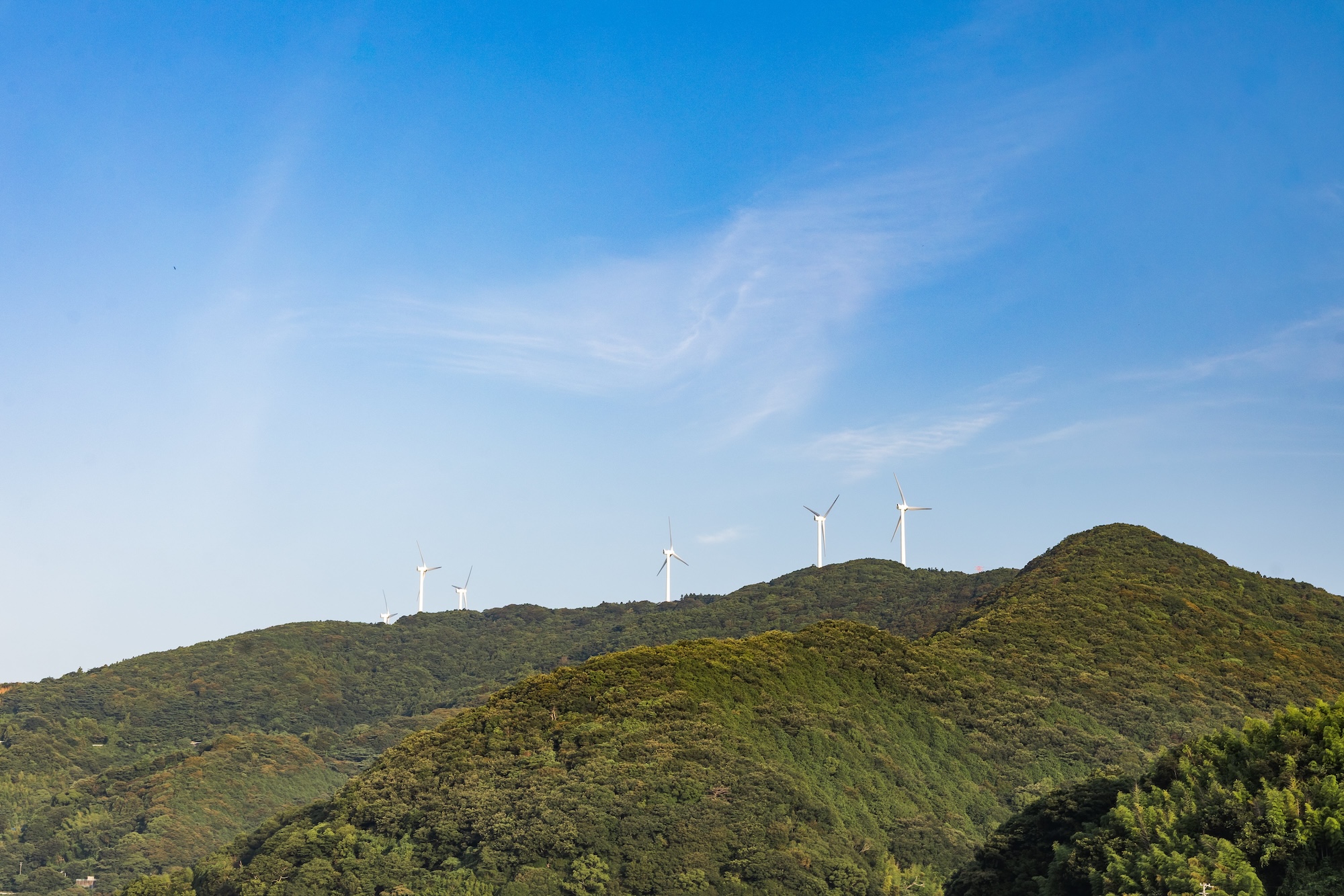 佐田岬半島的緑意盎然群山