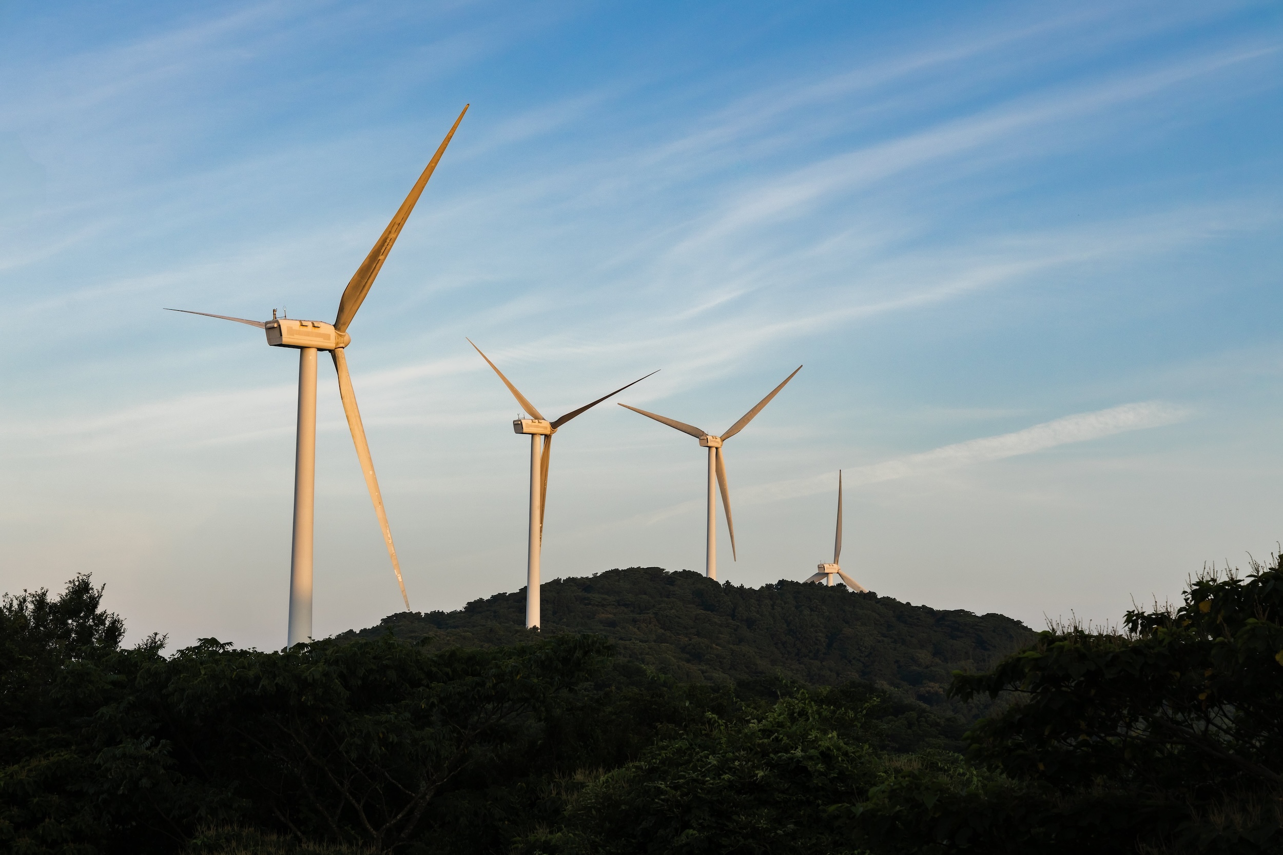 佐田岬半島的風車